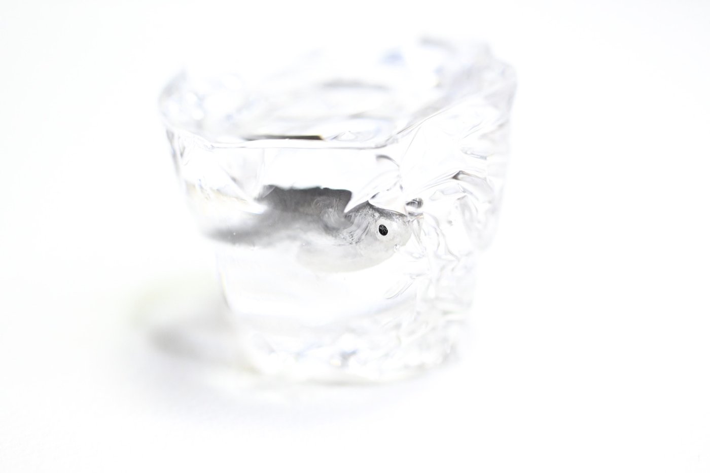 鋳金で制作したメダカの作品「黒粉メダカ」