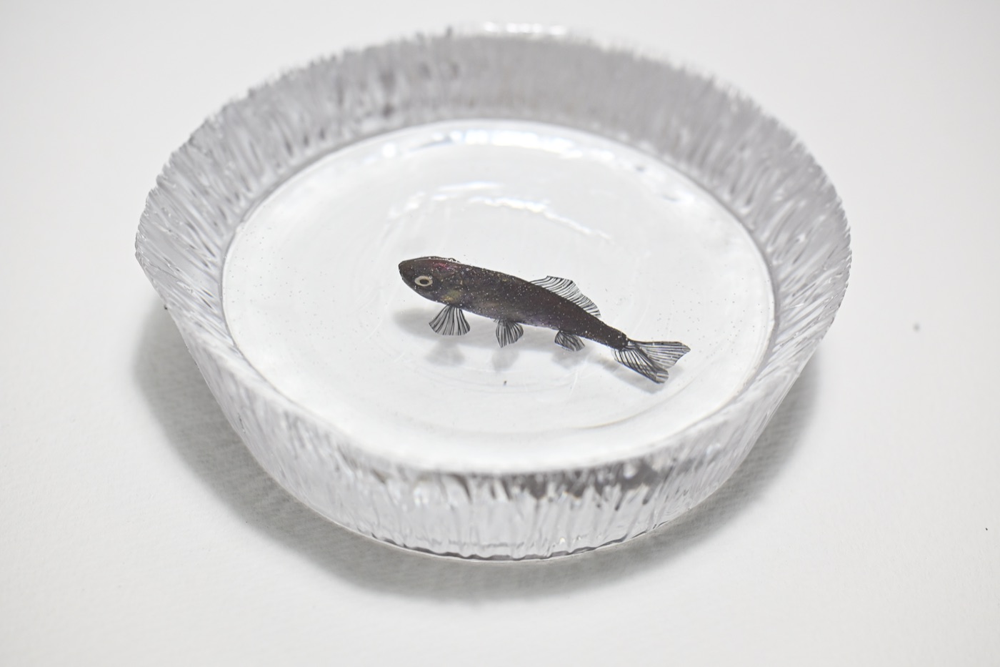 鋳金で制作した金魚の作品「黒和金カップ」