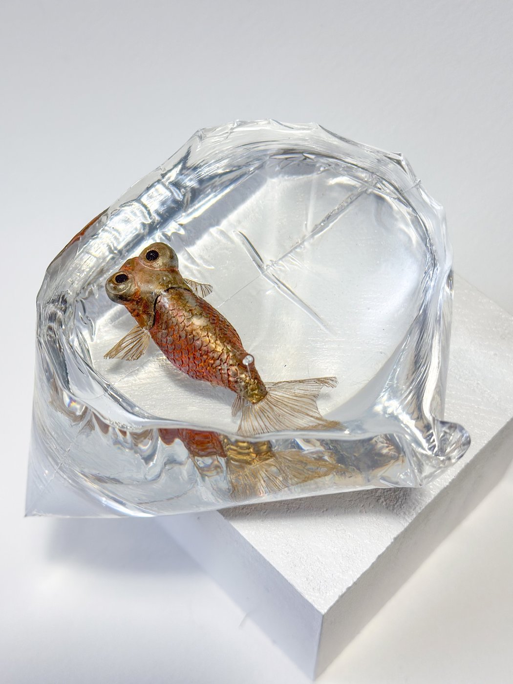 鋳金で制作した金魚の作品「黄朽葉頂天眼」