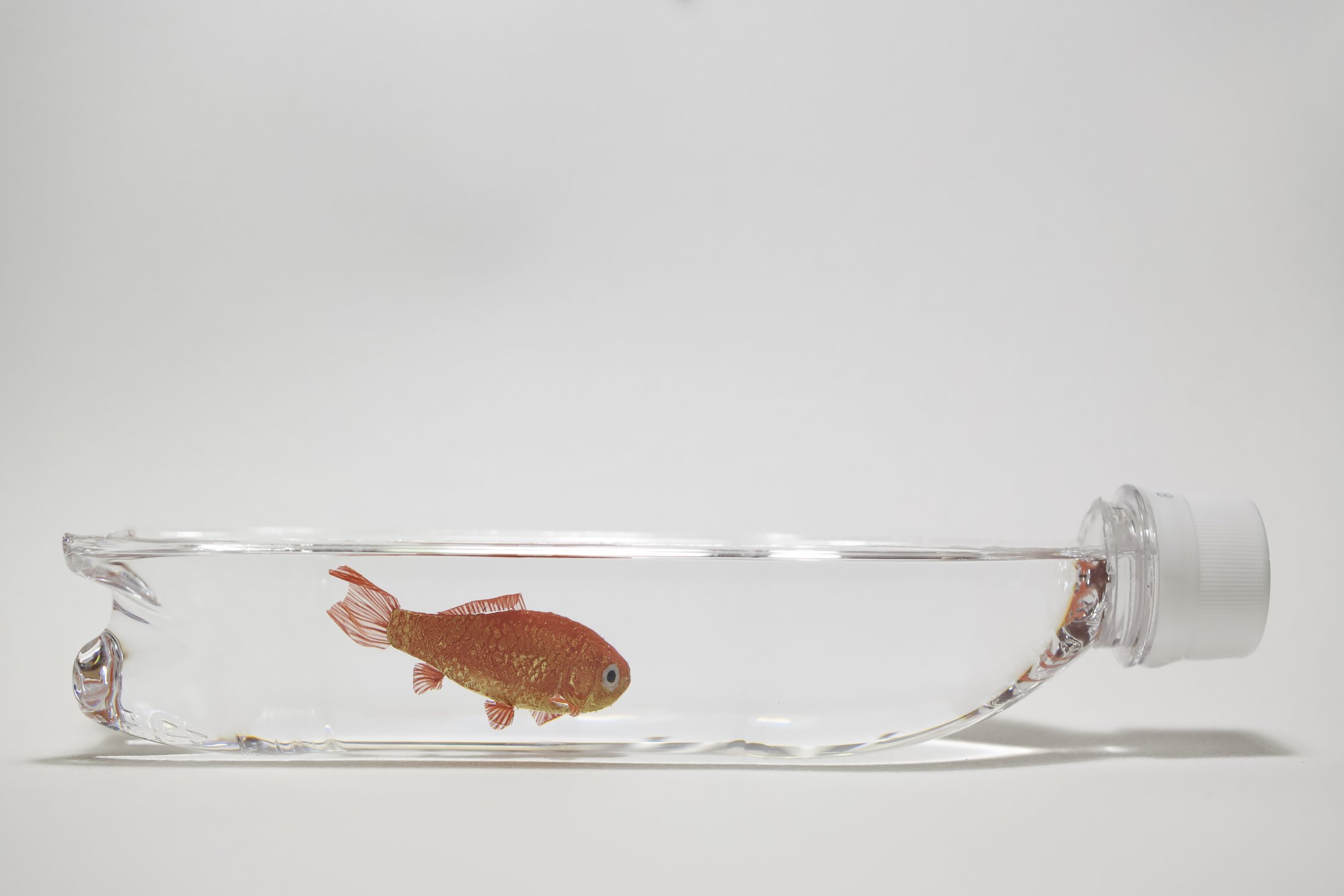 鋳金で制作した金魚作品 — 樹脂の袋に封入 | 河﨑海斗