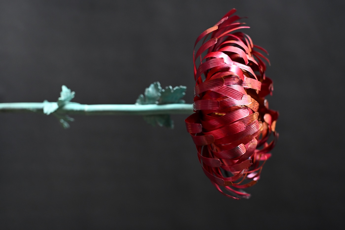 鋳金で制作した菊の作品「画狂乃菊」