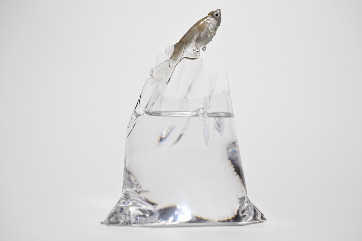 鋳金で制作したメダカの作品「メダカ宙」