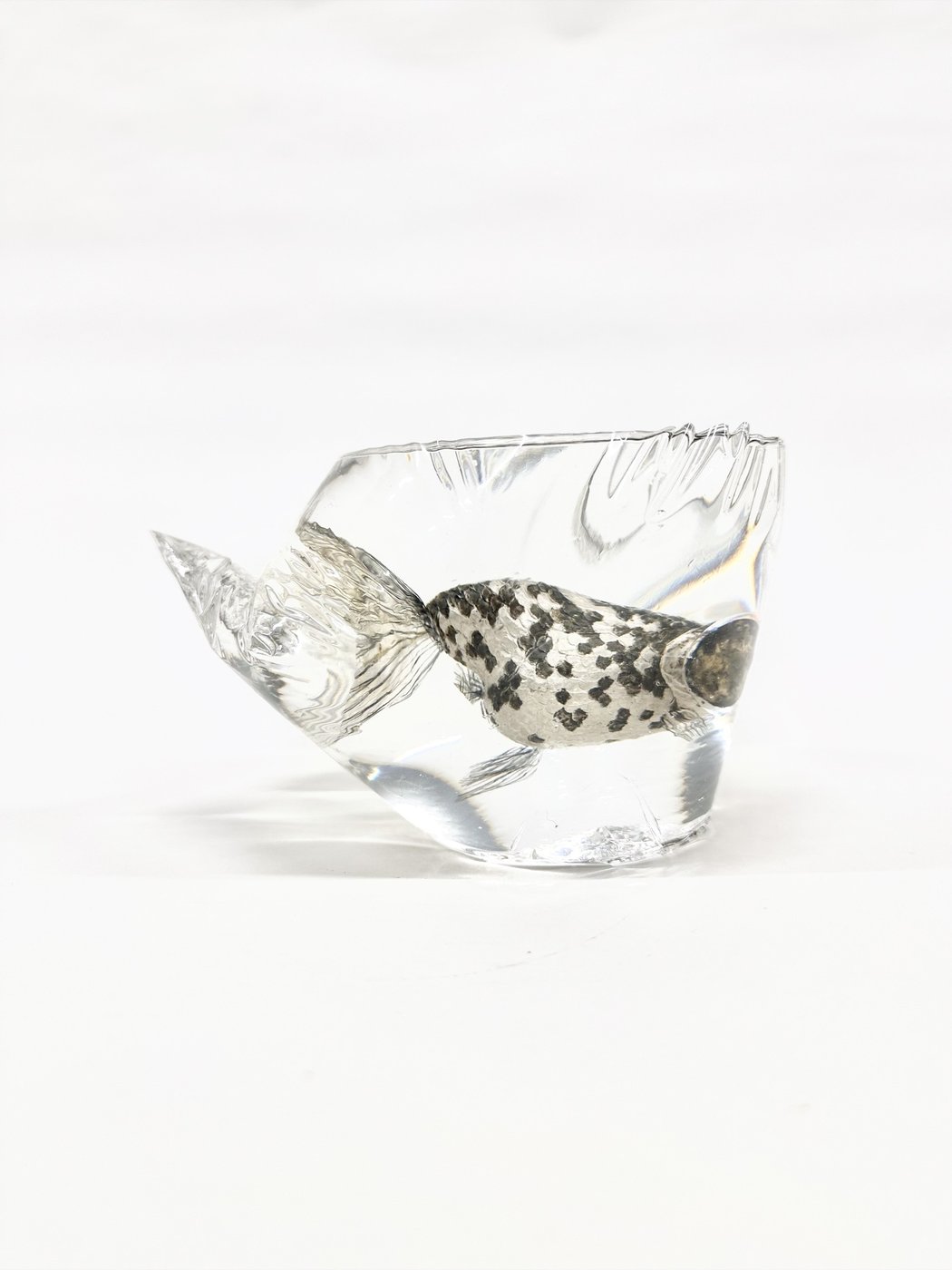 鋳金で制作した金魚の作品「斑ラ頂天眼」