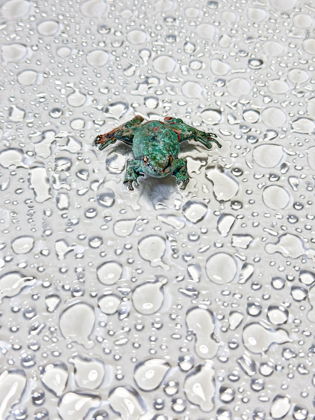 鋳金で制作したカエルの作品「雨ノ蛙「青葉雨」」