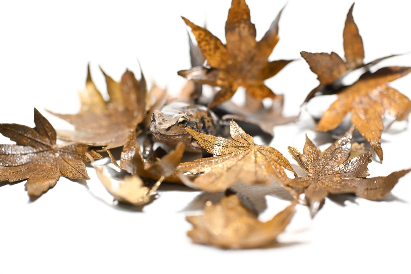 鋳金で制作したカエルと紅葉の作品「雨ノ蛙と黄紅葉」