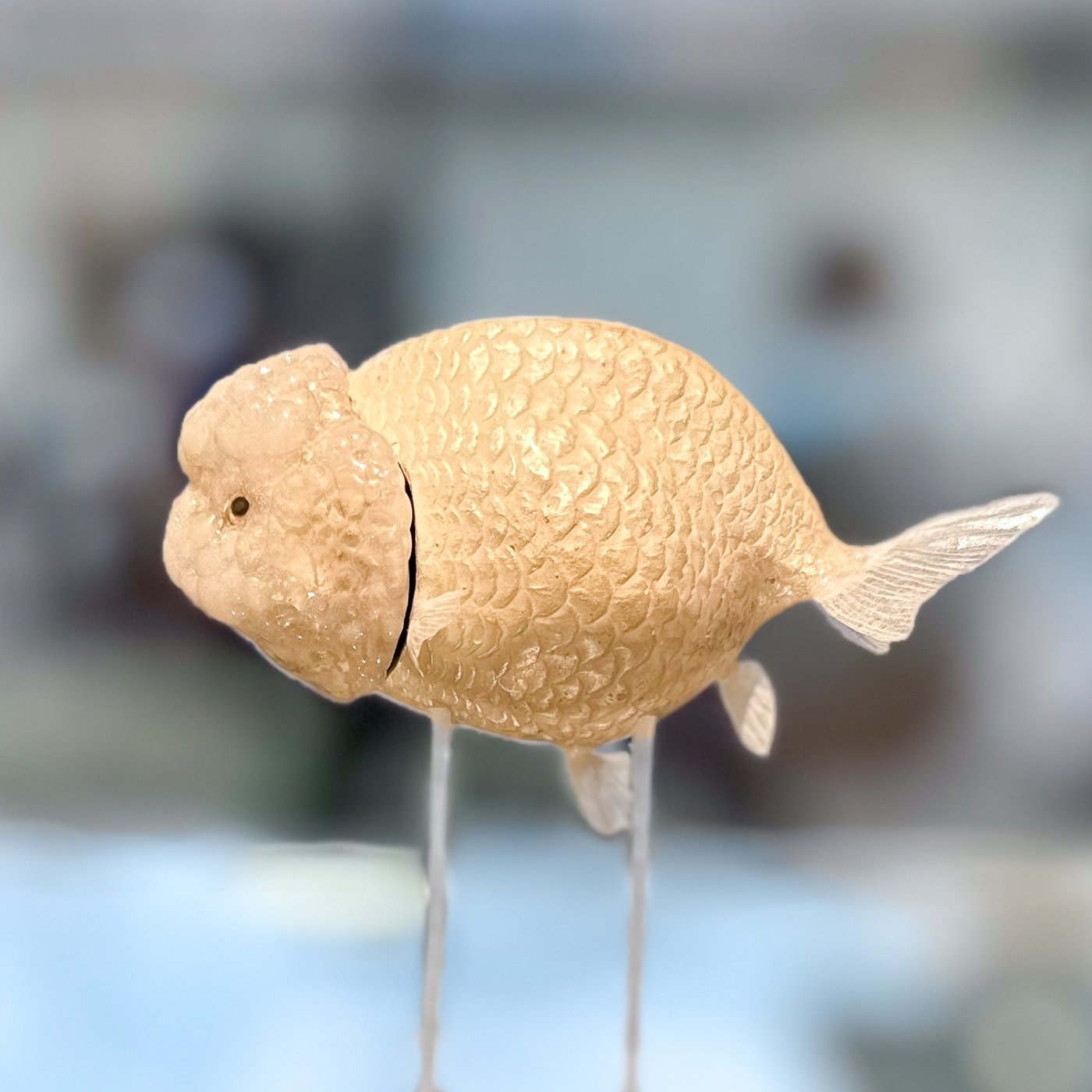 箱物 蘭鋳 — 樹脂の直方体に封入された蘭鋳