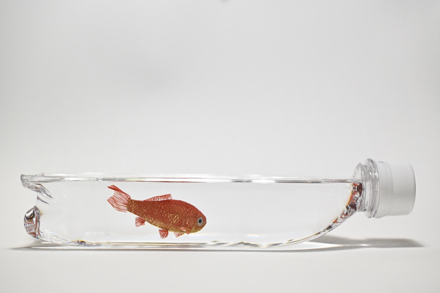 鋳金で制作した金魚の作品「朱色和金ボトル」