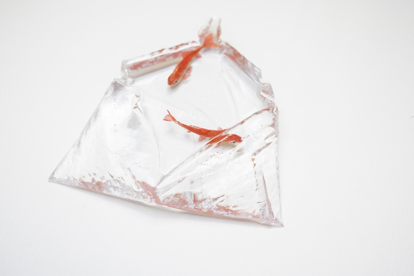 鋳金で制作した金魚の作品「朱色和金郡」
