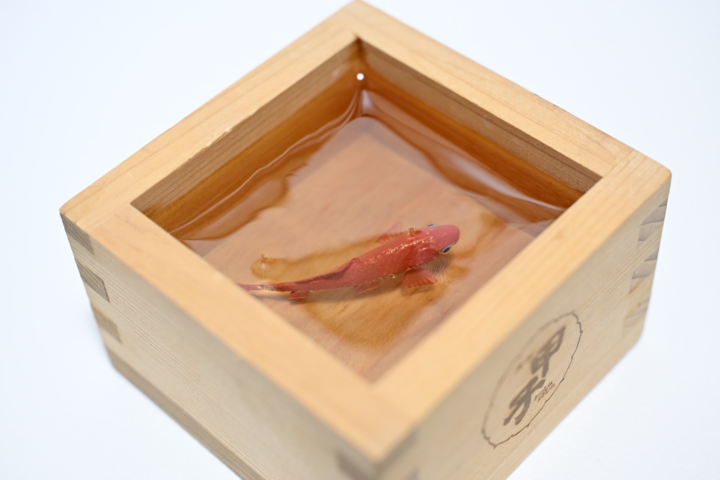 鋳金で制作した金魚の作品「升朱和金」